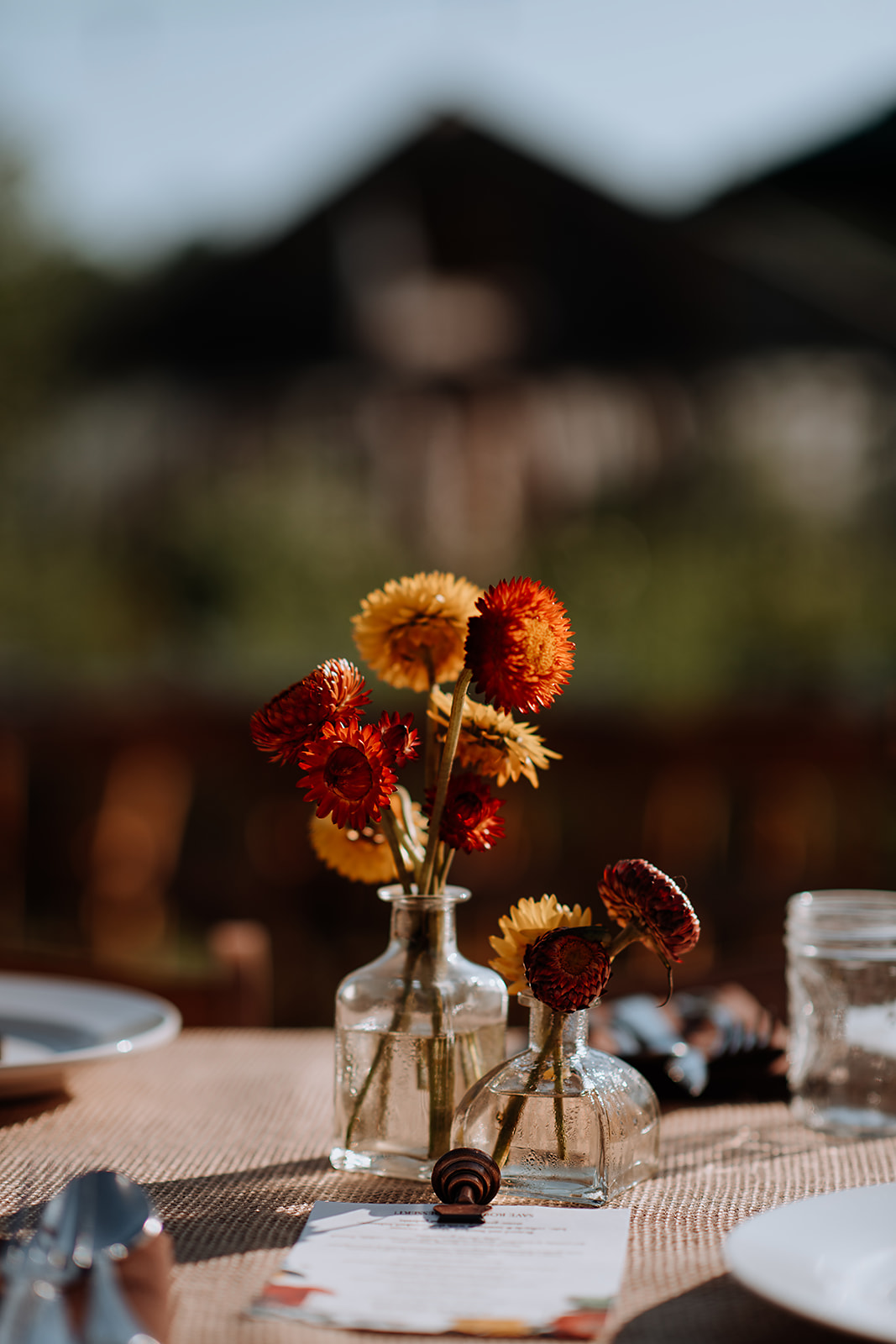 Blooming Hill Farm Flowers