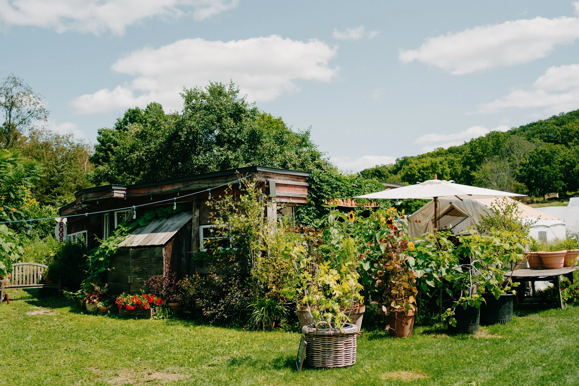 Blooming Hill Farm Weddings