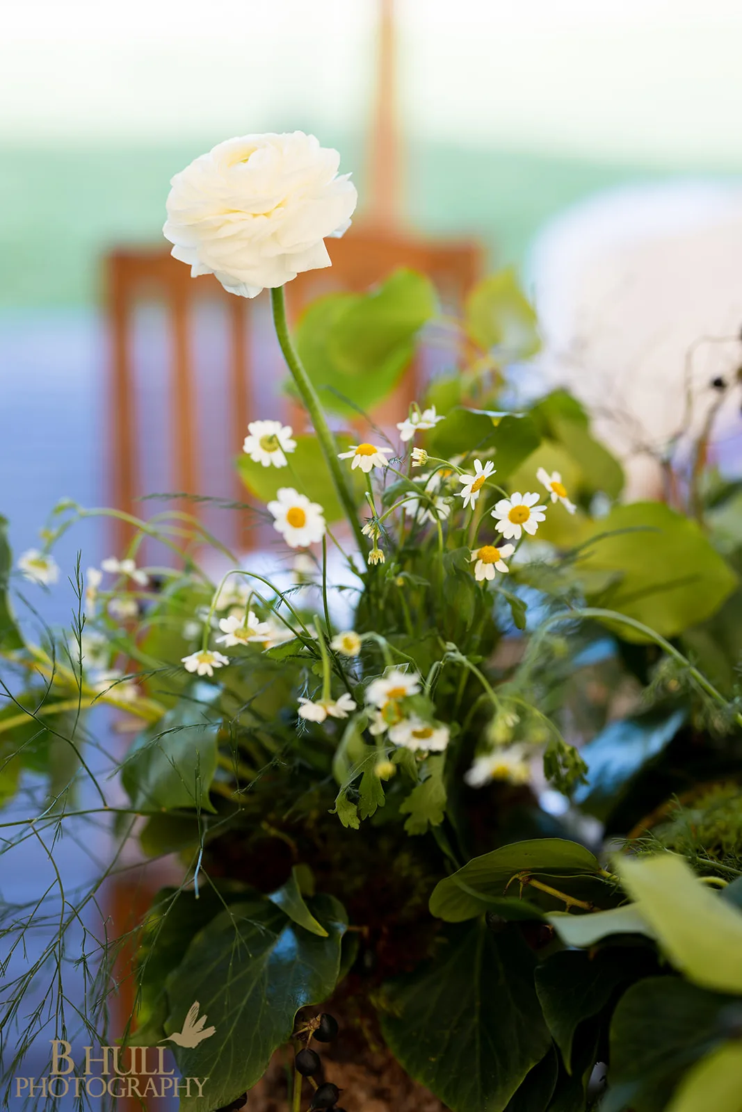 Blooming Hill Farm Flowers