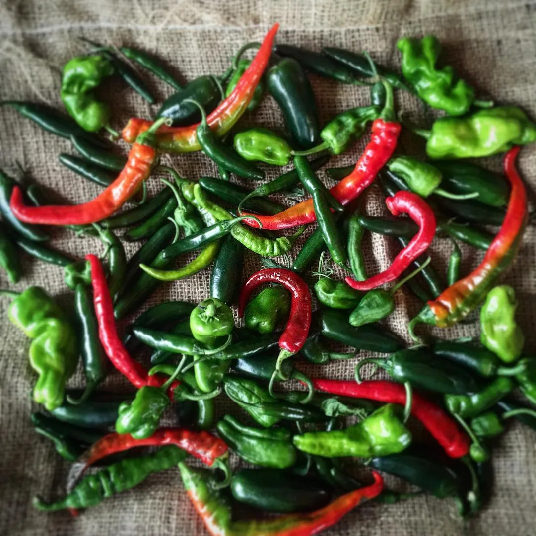 Blooming Hill Farm Market